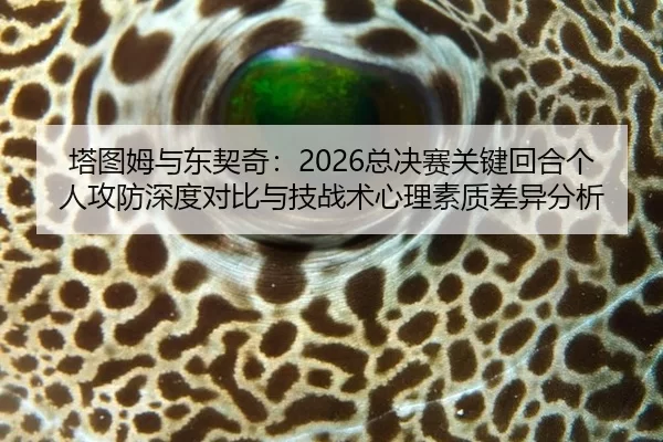 塔图姆与东契奇：2026总决赛关键回合个人攻防深度对比与技战术心理素质差异分析