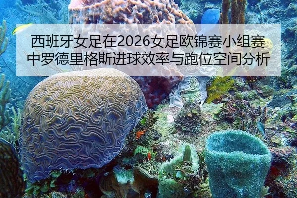 西班牙女足在2026女足欧锦赛小组赛中罗德里格斯进球效率与跑位空间分析