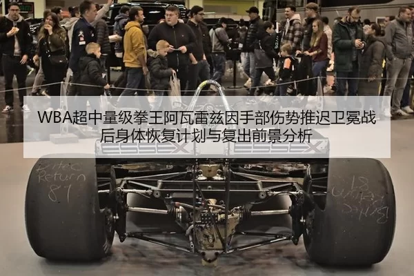 WBA超中量级拳王阿瓦雷兹因手部伤势推迟卫冕战后身体恢复计划与复出前景分析