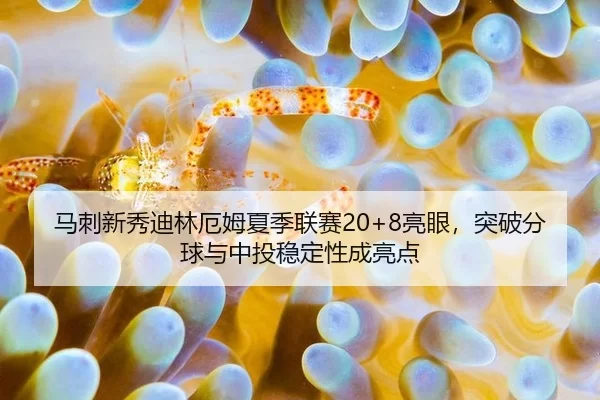 ma-ci-xin-xiu-di-lin-e-mu-xia-ji-lian-sai-liang-yan-tu-po-fen-qiu-yu-zhong-tou-wen-ding-xing-cheng-liang-dian-3-382.jpg